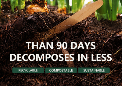 Than 90 Days Decomposes In Less