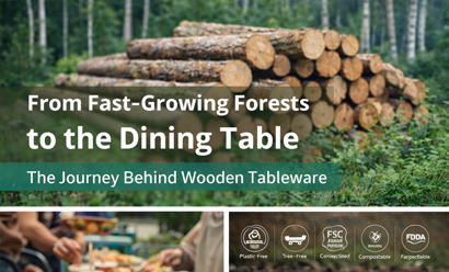 From Fast-Growing Forests to the Dining Table: The Journey Behind Wooden Tableware