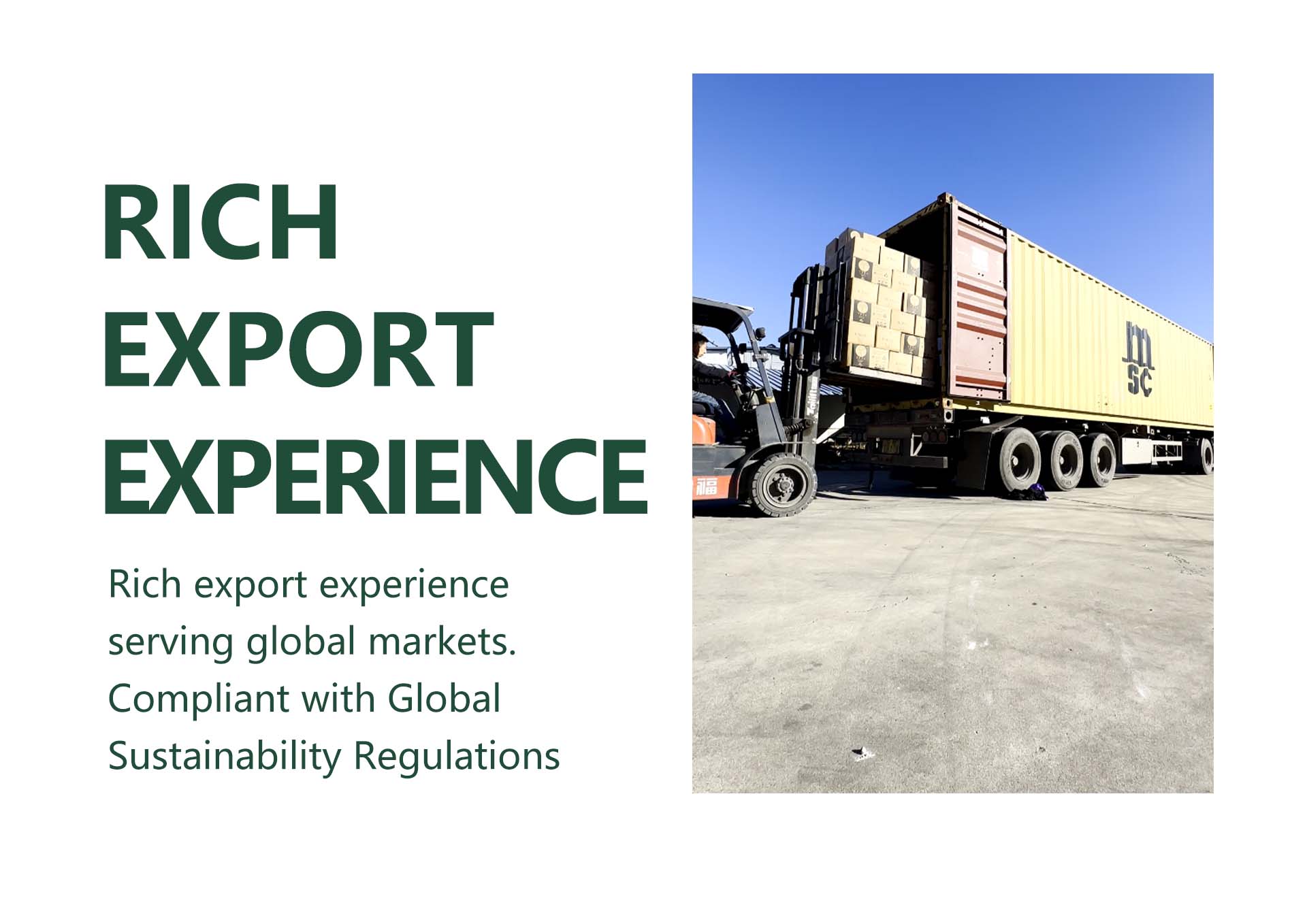Rich export experience